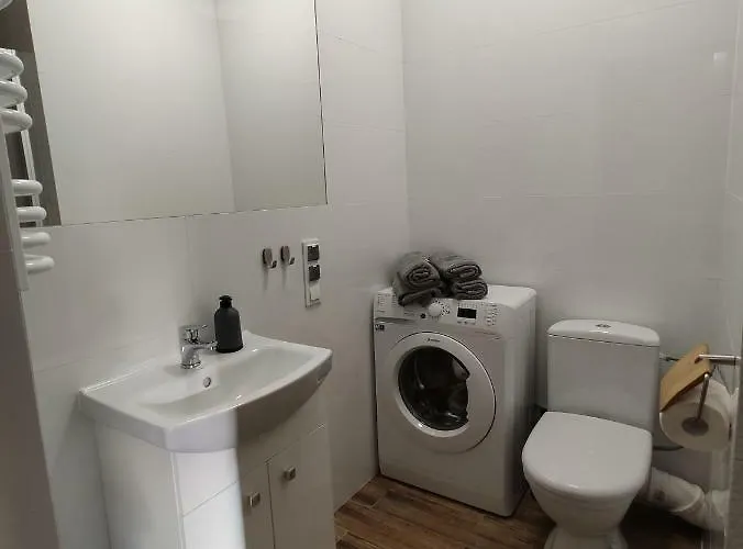 Loft House 公寓 格但斯克